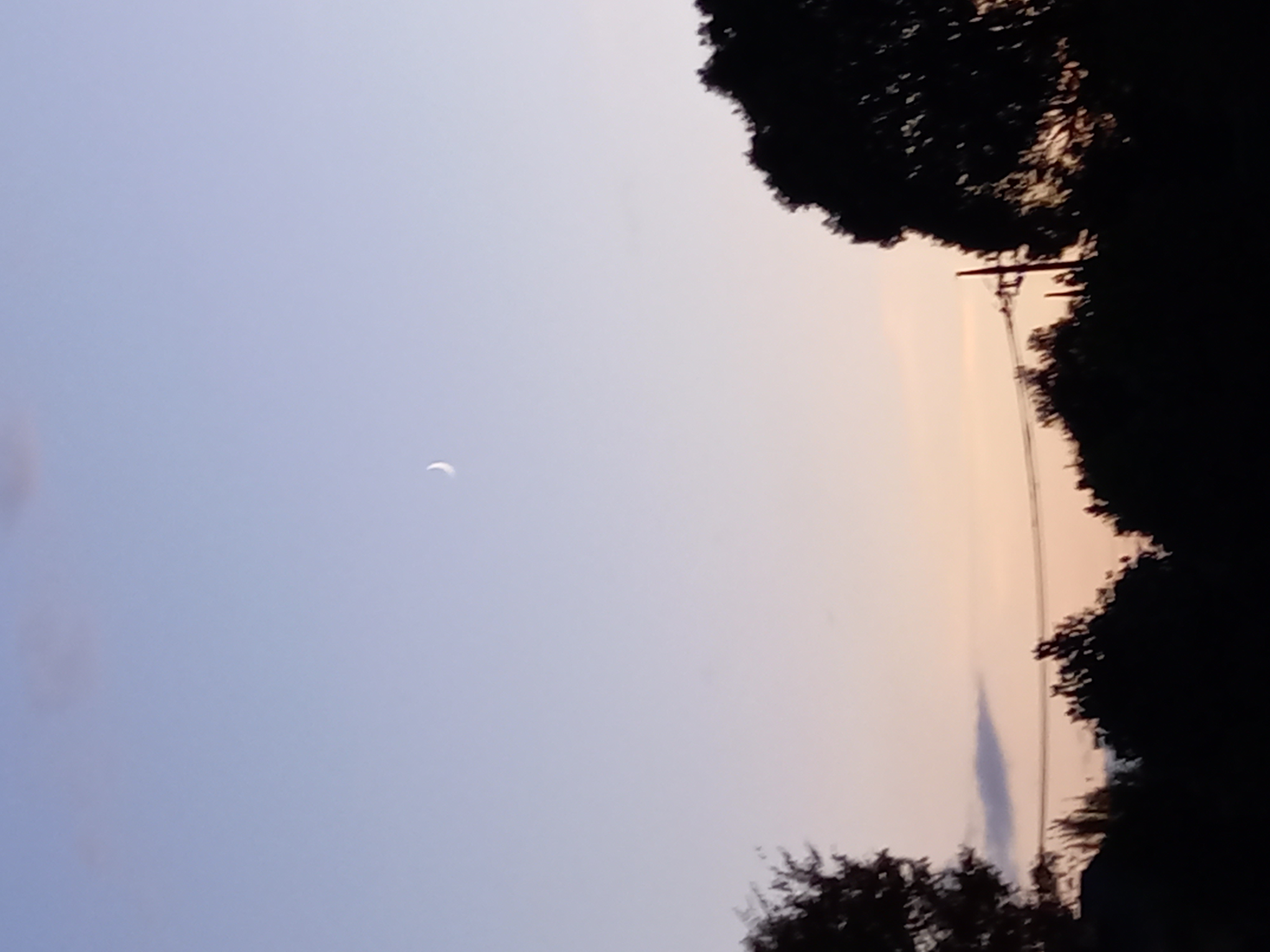 {AUTO}夕日に映える木々のシルエット